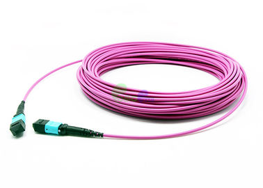 OM4 50/125μm Multi - Mode MTP Trunk Cable , 3.0mm Jacket OD MTP 12 Fiber Connector