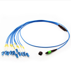 MPO LC Standard Harness Cable Assembly 12 Cores MPO Female To 6 LC Duplex