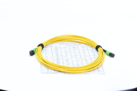 12F 16F 24F 48F MPO MPO SM Fiber Patch Cord 3.0mm LSZH G657A1 Super Low Insertion Loss