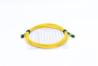 12F 16F 24F 48F MPO MPO SM Fiber Patch Cord 3.0mm LSZH G657A1 Super Low Insertion Loss
