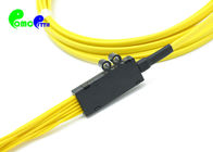 12 Cores Fiber Optic Patch Cables SC UPC to SC UPC SingleMode G657A Ribbon fanout 2.0mm PVC / LSZH Jacket