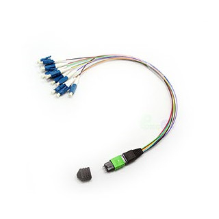 12 Core MPO LC Fanout 0.9mm Fiber Optic Patch Cable 33cm For MPO LC LGX Module Cassettes