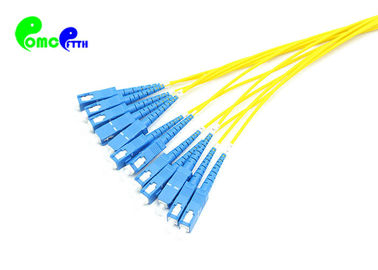 12 Cores Fiber Optic Patch Cables SC UPC to SC UPC SingleMode G657A Ribbon fanout 2.0mm PVC / LSZH Jacket